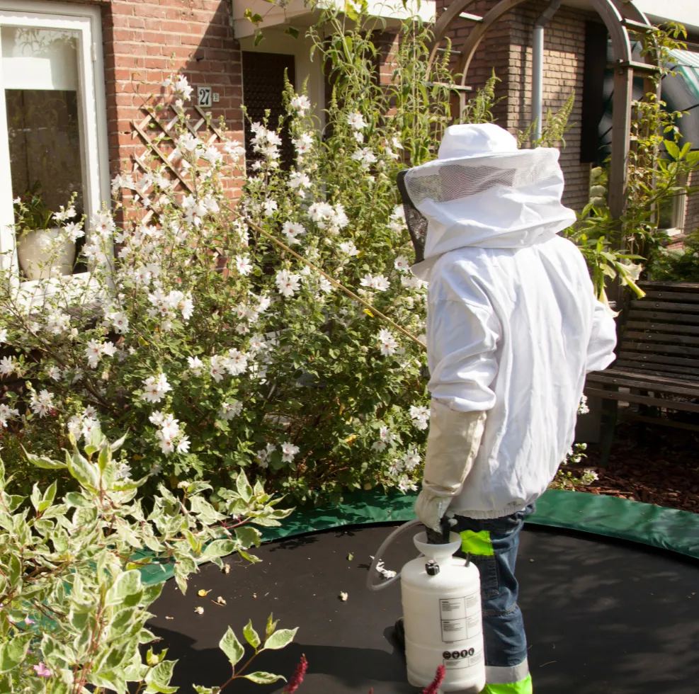 Wespenbestrijding naast een woning