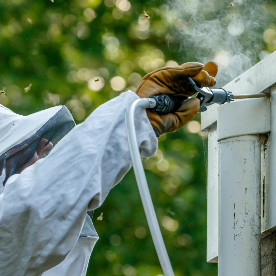 Specialist behandelt een nestopening bij een woning
